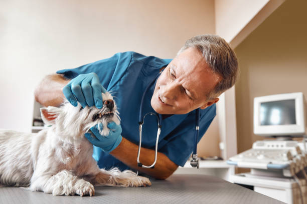 Best Emergency Dental Surgery in Sharpsburg, NC